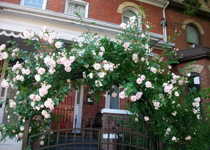 Comfy Guesthouse & Suite Toronto